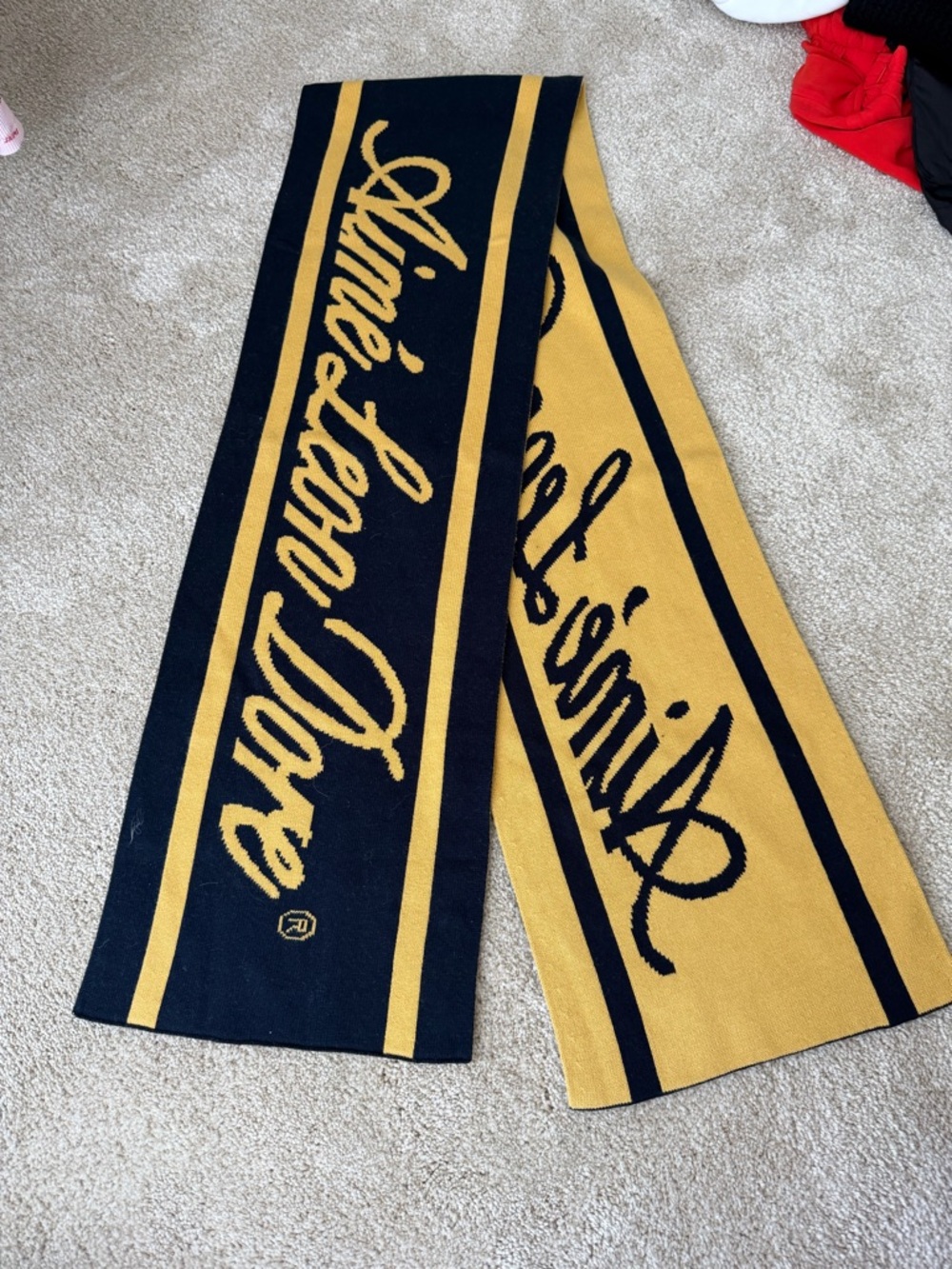 Aime Leon Dore Scarf